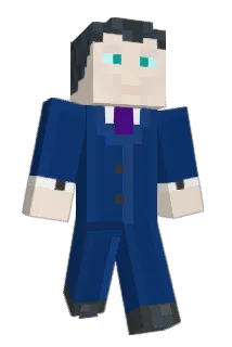 pickysalamander Minecraft avatar full body