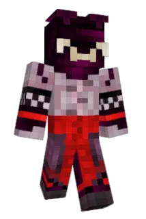 picsouw Minecraft avatar full body