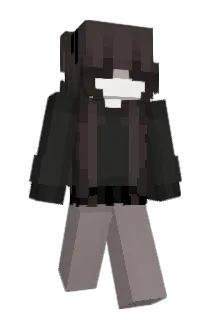 pid4r4s Minecraft avatar full body