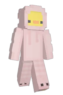 pieaun Minecraft avatar full body