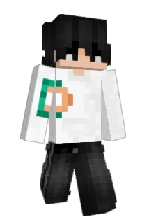 pieter_01 Minecraft avatar full body