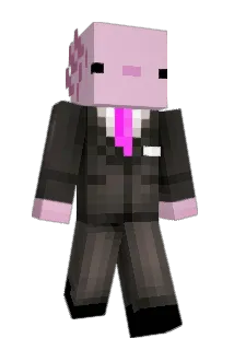 pigallen Minecraft avatar full body