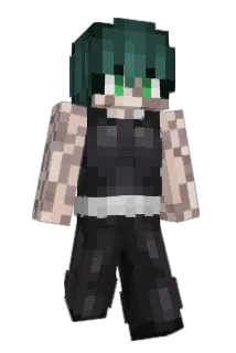 pigeonfloor Minecraft avatar full body