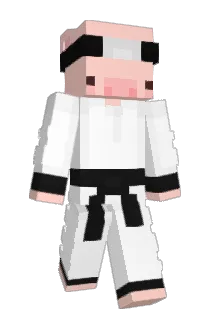 piggy_thepro Minecraft avatar full body