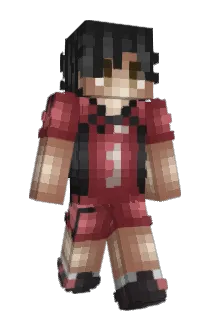pigir Minecraft avatar full body
