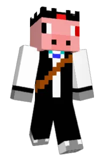 pigkig11 Minecraft avatar full body