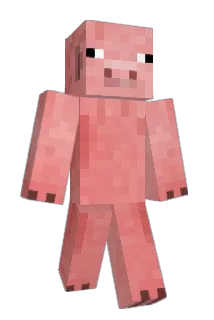 pigman27 Minecraft avatar full body