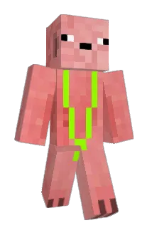 pigo363 Minecraft avatar full body