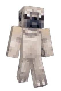 pigpiglee Minecraft avatar full body