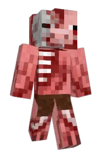 pigraider630 Minecraft avatar full body