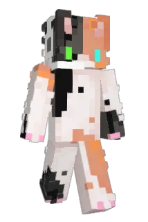 pigs3different1s Minecraft avatar full body