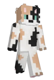 pimpleche1 Minecraft avatar full body