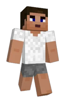pinbackk Minecraft avatar full body
