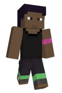 pineview Minecraft avatar full body