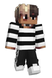 pingiini Minecraft avatar full body