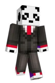 pingponghobo Minecraft avatar full body