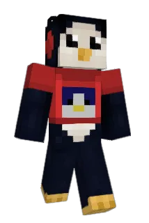 pingwin27 Minecraft avatar full body