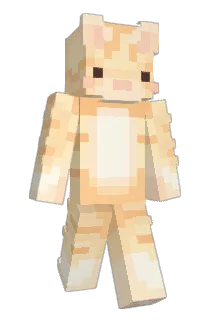 pinkfaeee Minecraft avatar full body