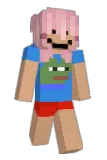pinkmists Minecraft avatar full body