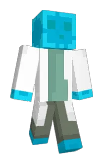 pinkninja101 Minecraft avatar full body