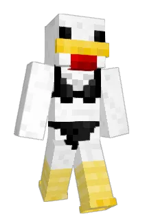 pinsb Minecraft avatar full body