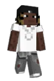 pinwins Minecraft avatar full body