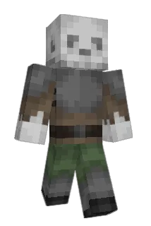piotrowski Minecraft avatar full body