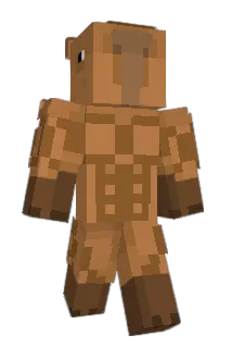 pipiloco07 Minecraft avatar full body
