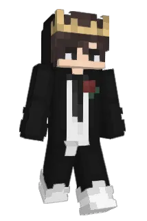pipimaoa Minecraft avatar full body