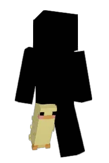 pippidippi Minecraft avatar full body