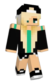 pipvansambeeck Minecraft avatar full body