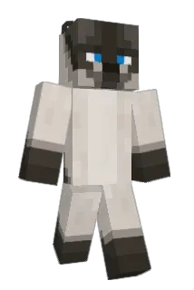 pirsinia Minecraft avatar full body
