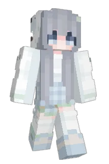 pisunok Minecraft avatar full body