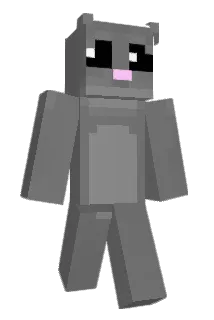 pitielliott Minecraft avatar full body