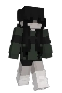 pixel3003 Minecraft avatar full body