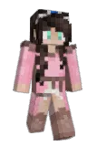 pixelaes Minecraft avatar full body