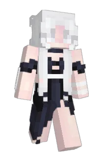 pixelfox45 Minecraft avatar full body