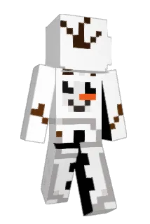 pixiedreamer Minecraft avatar full body