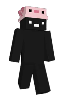 pizann Minecraft avatar full body