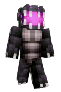 pizzadragon Minecraft avatar full body