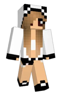 pj2173 Minecraft avatar full body