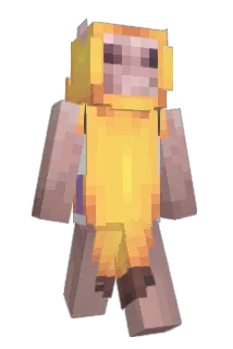 pj333 Minecraft avatar full body