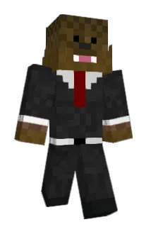 pjman1 Minecraft avatar full body