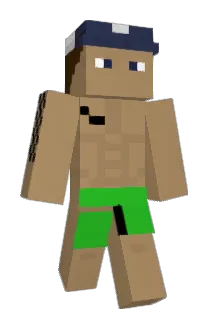 placekniewacek Minecraft avatar full body