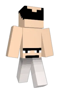 plarrrrr Minecraft avatar full body