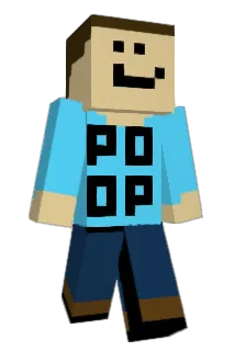 platic2 Minecraft avatar full body