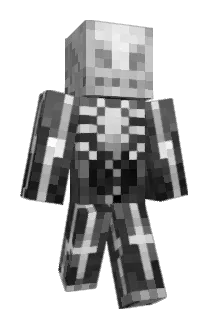 playX13 Minecraft avatar full body