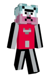 playjyn Minecraft avatar full body