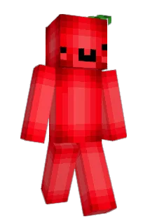 playspoi Minecraft avatar full body