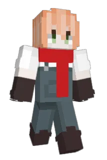 plixxn Minecraft avatar full body